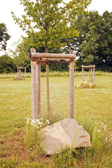 Waldfriedhof,  junger Baum mit Stein